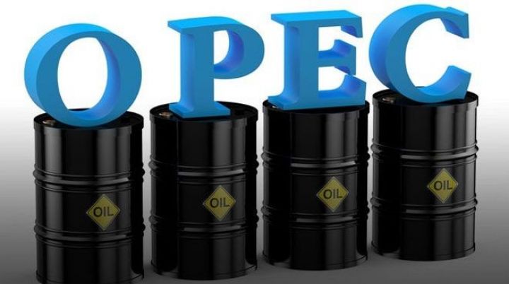 OPEC, Azərbaycanda neft hasilatı barədə proqnoz verib