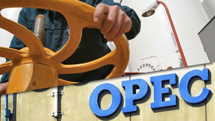 OPEC ölkələrinin yüksək neft qiymətlərindən gəlirləri açıqlanıb