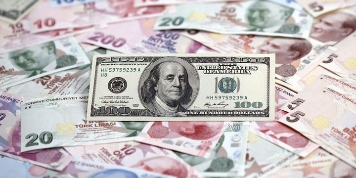 Dollar/TL rekord yenilədi