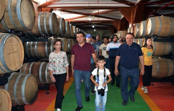 Şərab zavodu turizm marşrutuna daxil edilib