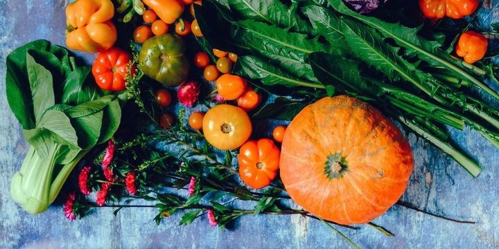 Qida qiymətlərindəki artım insani böhrana səbəb ola bilər