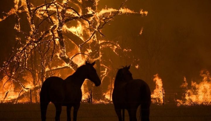 Avstraliya yanır! - FOTOLAR