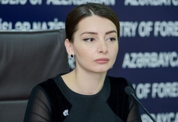 "Azərbaycanın tanınmış sərhədlərini pozan Ermənistandır" - SƏRHƏD GƏRGİNLİYİ