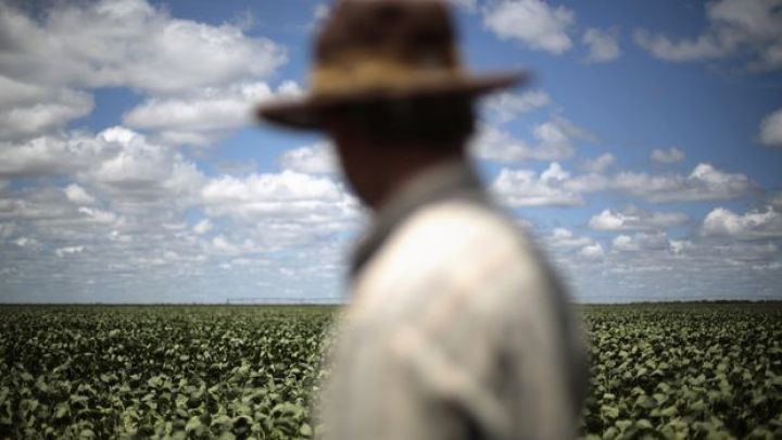 Qlobal qida qiymətləri 10 ilin ən yüksək səviyyəsində