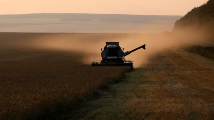 Buğda qiymətləri tarixi ən yükək səviyyədə!