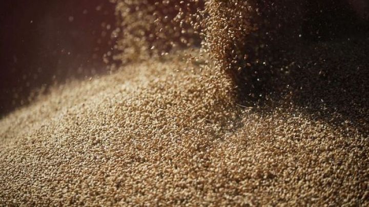 Qlobal buğda ehtiyatları həyəcan təbili çalır: "10 həftəlik buğda qalıb"