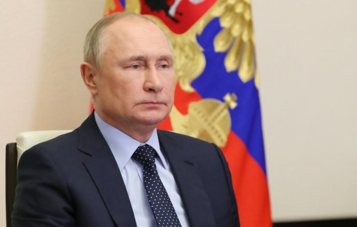 Putin: Bu il Rusiyada taxıl məhsuldarlığı rekord qıracaq