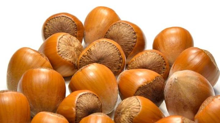 Fındıq ixracından gəlir kəskin artıb