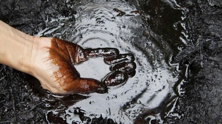 Neft, müqavilənin uzadılacağı gözləntisi və zəifləyən Dollar ilə bahalaşıb