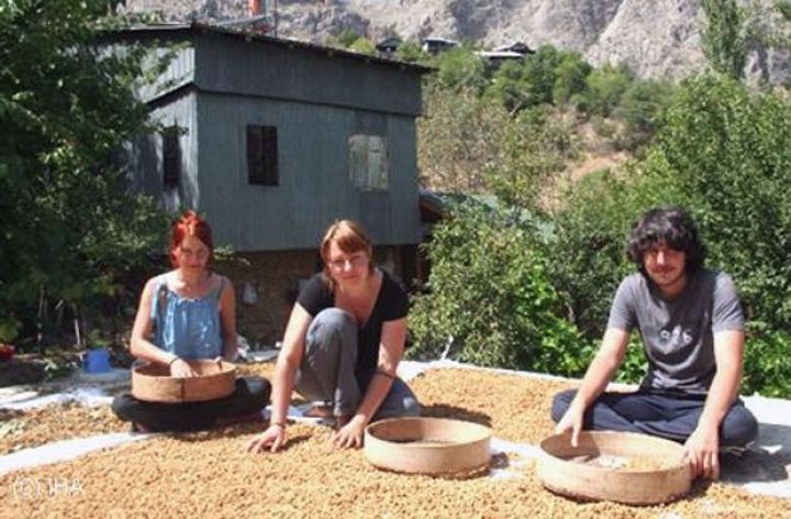 Turizm sektoruna xarici sərmayələrin cəlb olunmasına dair konsepsiya işlənilir