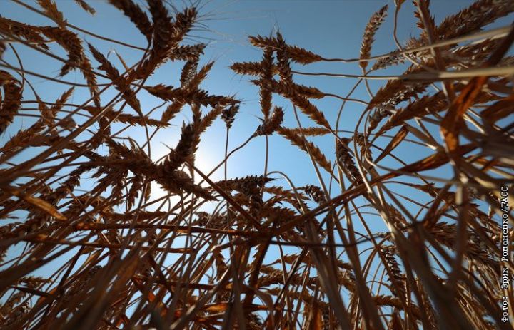 "Pandemiya və münaqişələr qidaya çıxış böhranına səbəb olub"