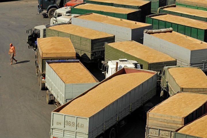 Rusiya buğdanın ixracına qadağa qoydu