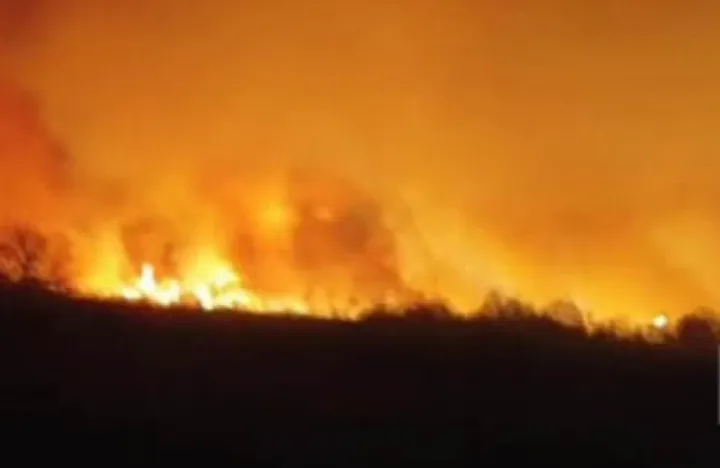 Cəbrayıl və Füzuli rayonlarında yanğın - sərhəd boyunca genişlənməyə davam edir.